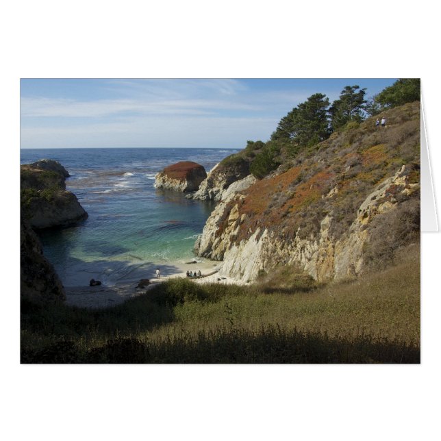 China Cove, Point Lobos Preserve (Front Horizontal)