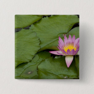 China, Hong Kong, New Territories. Chi Lin 2 Inch Square Button