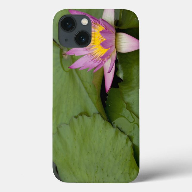 China, Hong Kong, New Territories. Chi Lin Case-Mate iPhone Case (Back)