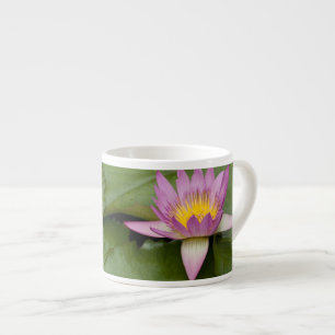 China, Hong Kong, New Territories. Chi Lin Espresso Cup