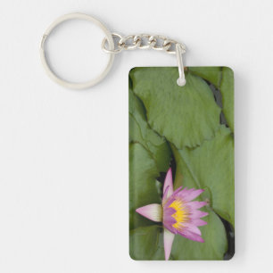 China, Hong Kong, New Territories. Chi Lin Keychain