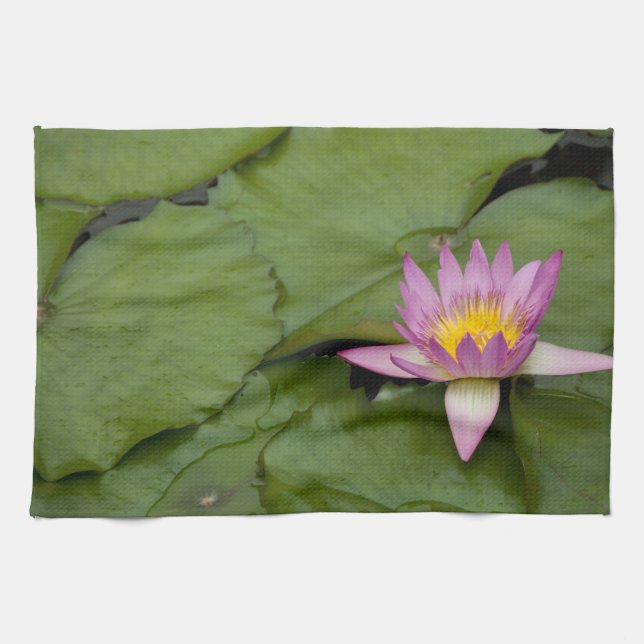 China, Hong Kong, New Territories. Chi Lin Kitchen Towel (Horizontal)