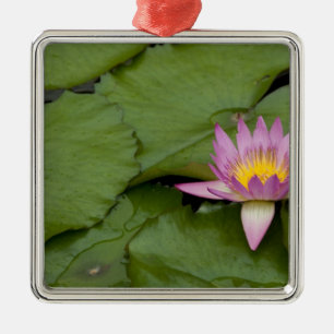 China, Hong Kong, New Territories. Chi Lin Metal Ornament