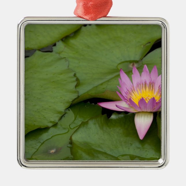 China, Hong Kong, New Territories. Chi Lin Metal Ornament (Front)