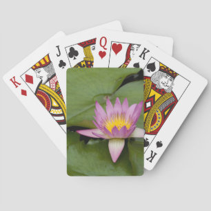 China, Hong Kong, New Territories. Chi Lin Playing Cards