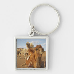 China, Inner Mongolia, Badain Jaran Desert 2 Keychain