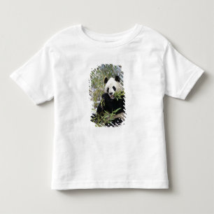 China, Sichuan Province. Giant Panda feeds on Toddler T-shirt
