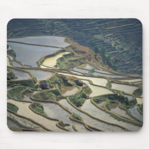 China, Yunnan Province. Flooded rice terraces of Mouse Pad
