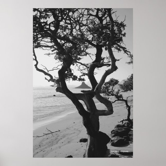 Chinaman's Hat Poster (Front)