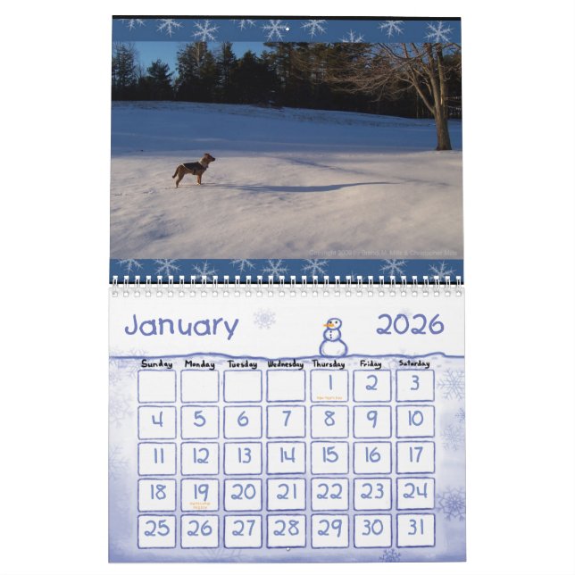 China's Dog Days 2009 Calendar (Jan 2026)