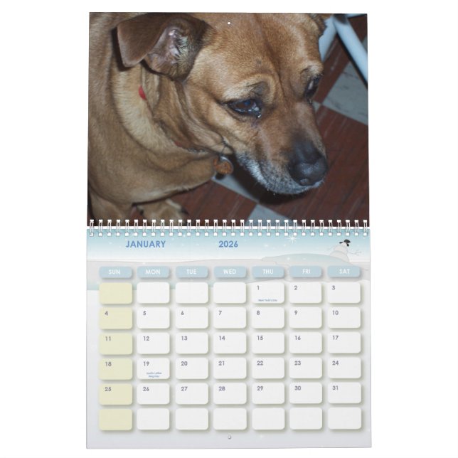 China's Dog Days 2010 Calendar (Jan 2026)