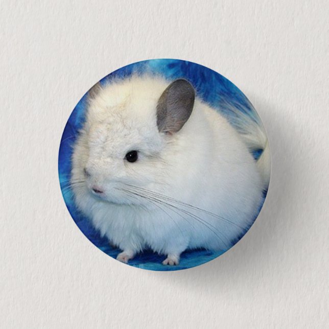 chinchilla 1 inch round button (Front)