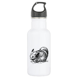Chinchilla 532 Ml Water Bottle
