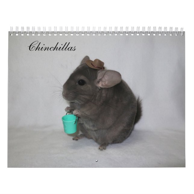 Chinchilla Calendar (Cover)