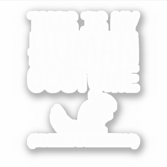 Chinchilla Easy Halloween Human Costume Rodent. Pe (Front)