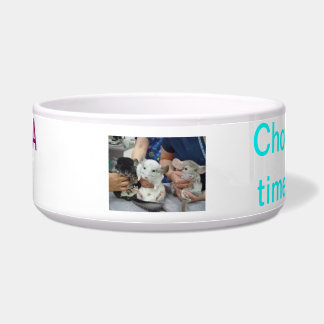 chinchilla food