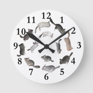 Chinchilla jumping clock