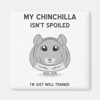 Chinchilla n'est pas un aimant gâté