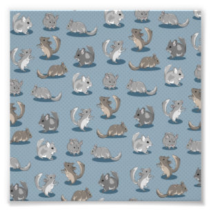 Chinchilla Pattern Photo Print