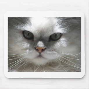 Chinchilla Persian Cat Mouse Pad