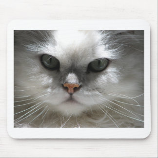 Chinchilla Persian Cat Mouse Pad