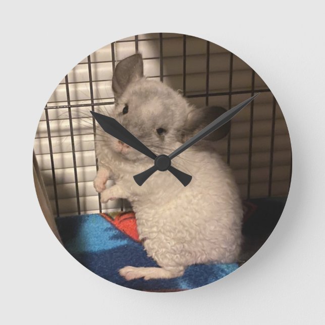 chinchilla round clock (Front)