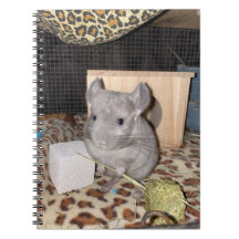 Chinchilla Spiral Photo Notebook
