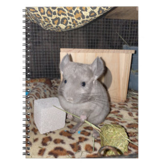 Chinchilla Spiral Photo Notebook