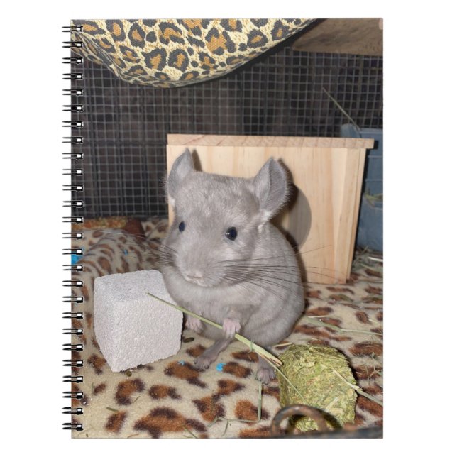 Chinchilla Spiral Photo Notebook (Front)