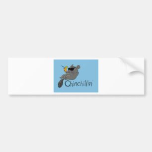 chinchillin bumper sticker