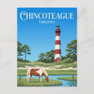 Chincoteague National Wildlife Refuge USA Postcard
