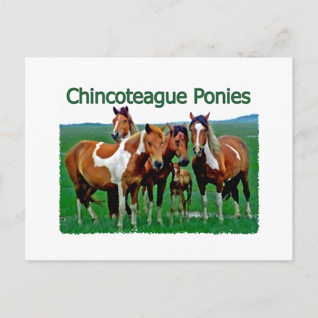 Chincoteague Ponies (family) Postcard (Front)