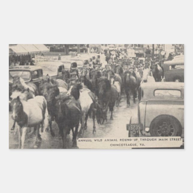 Chincoteague Pony Vintage 1941 Postcard Sticker (Front)