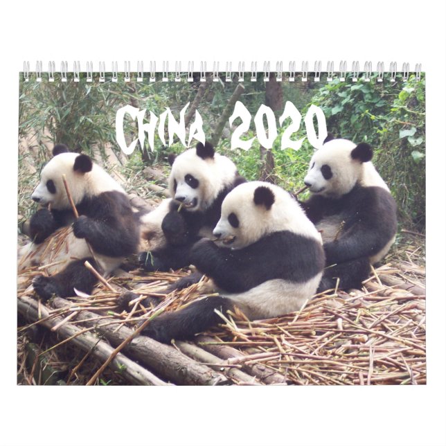 Chine - Calendrier 2020 (Protection)