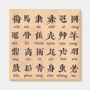 Chinese Alphabet Magnet