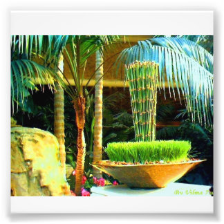 Chinese Bambu Photo Print