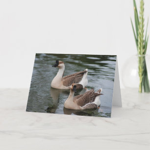 Chinese Brown Geese Greeting Card