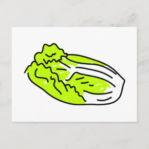 Chinese cabbage postcard