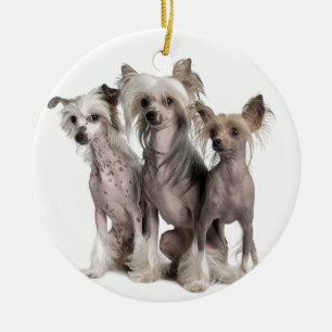 Chinese Crested Ceramic Ornament
