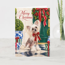 Chinese Crested Christmas Card