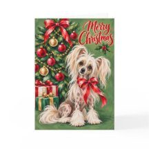 Chinese Crested Christmas Card