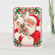 Chinese Crested Christmas Card