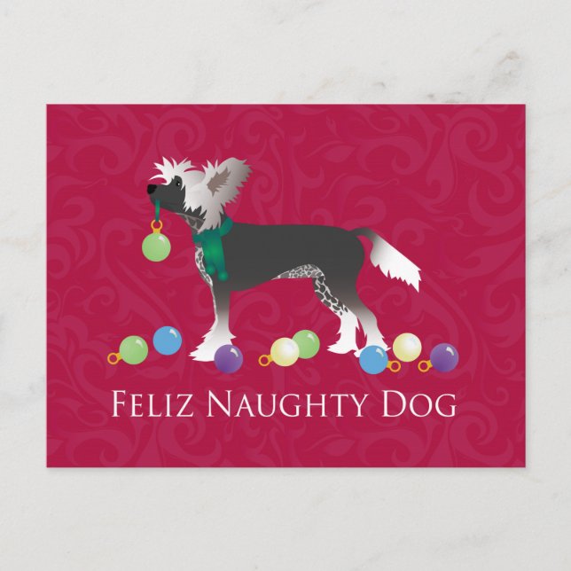 Chinese Crested Christmas Design Holiday Postcard (Front)