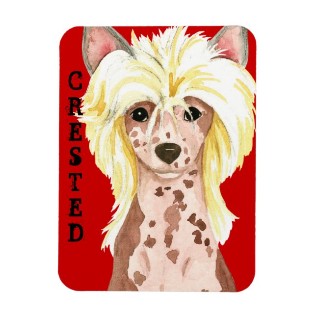 Chinese Crested Color Block Magnet (Vertical)