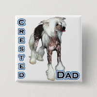 Chinese Crested Dad 4