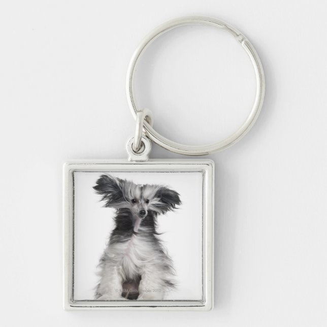 Chinese Crested Dog (15 months old) in the wind Keychain (Front)