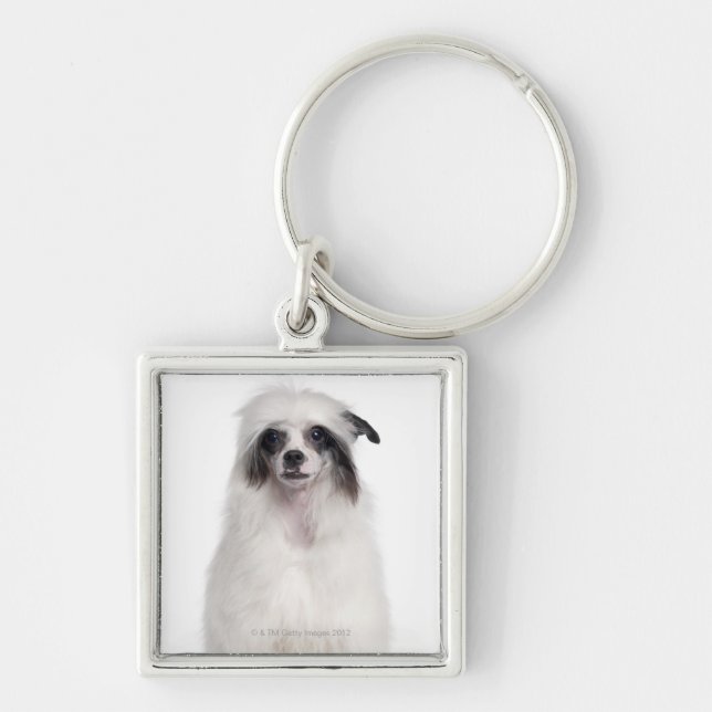 Chinese Crested Dog (7 months old) Keychain (Front)