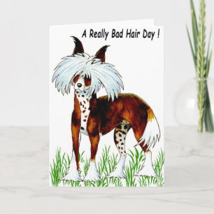 Chinese Crested Dog, Bad Hair Day Card
