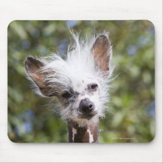 CHINESE CRESTED DOG (HAIRLESS) MOUSE PAD