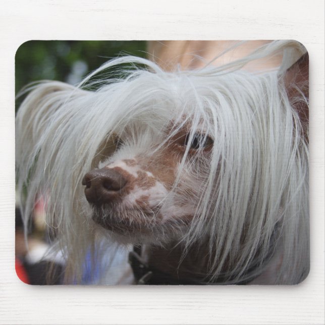 Chinese Crested Dog Mouse Pad (Front)
